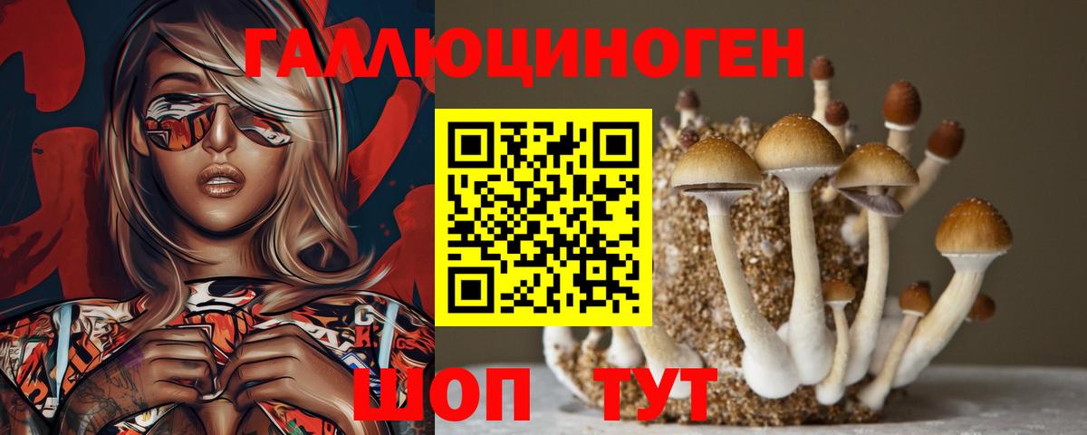 Галлюциногенные грибы GOLDEN TEACHER Новоалтайск